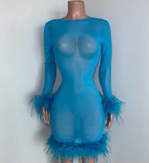 Ostrich Dress